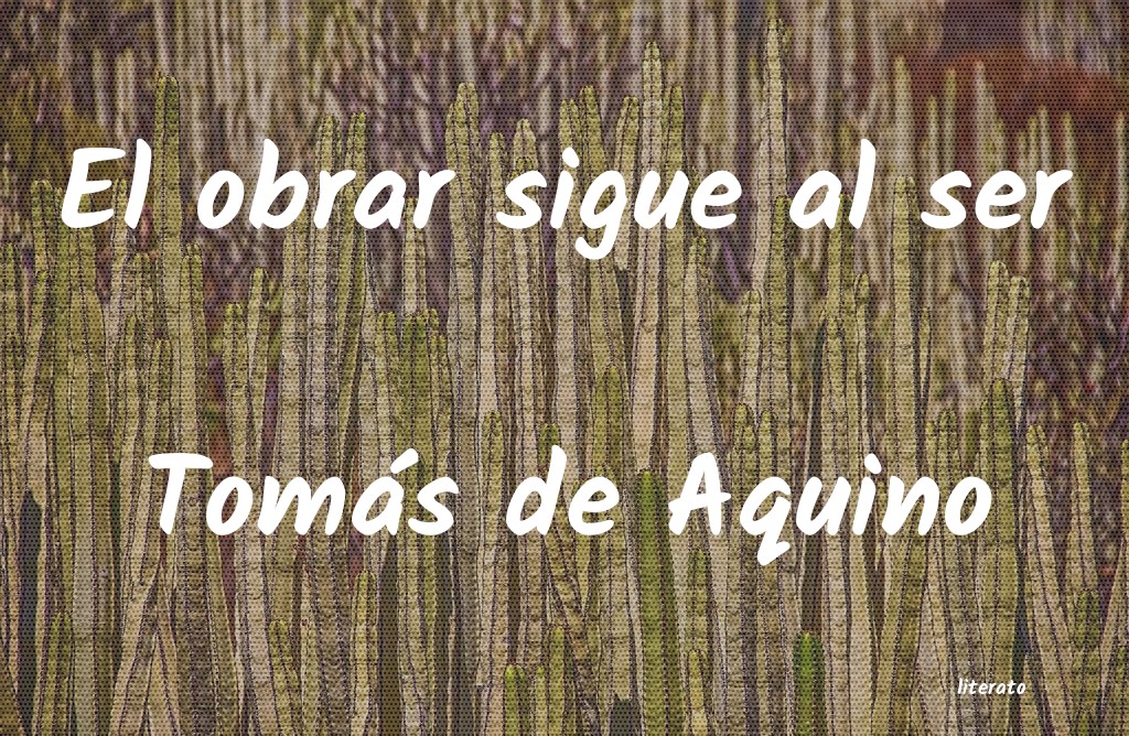 Frases de Tomás de Aquino