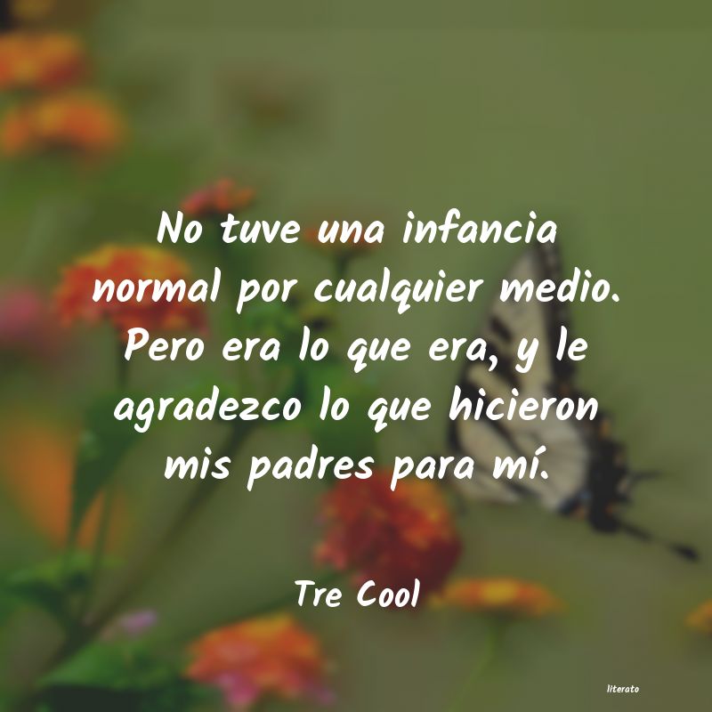 frases de Tre Cool
