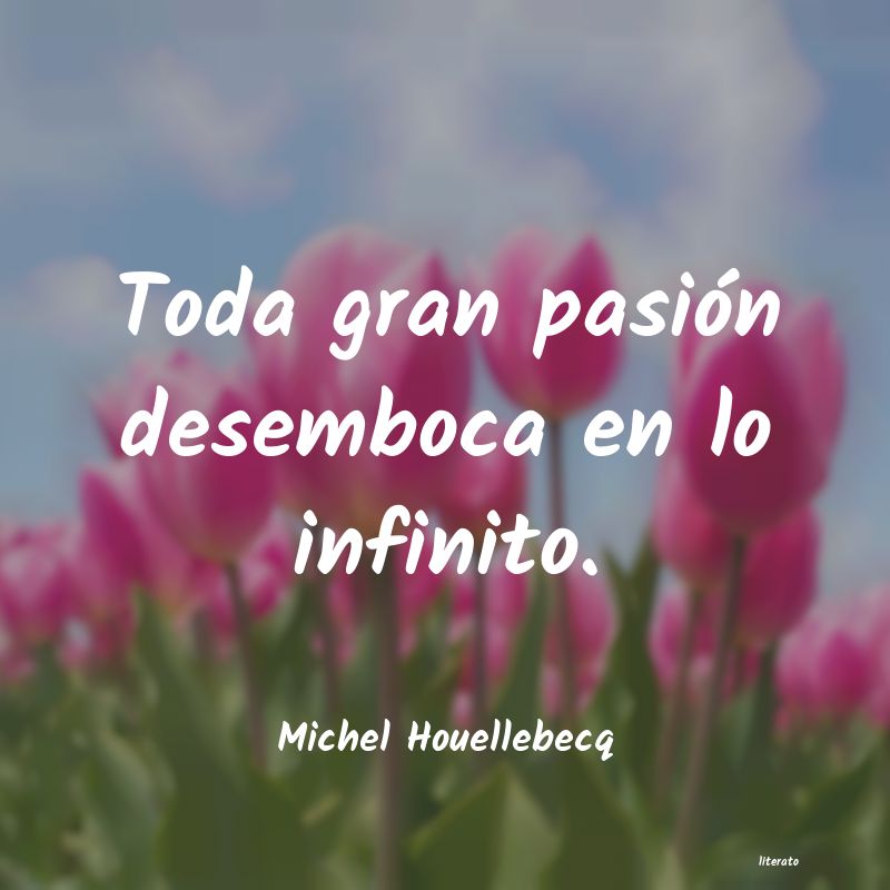 frases de Michel Houellebecq