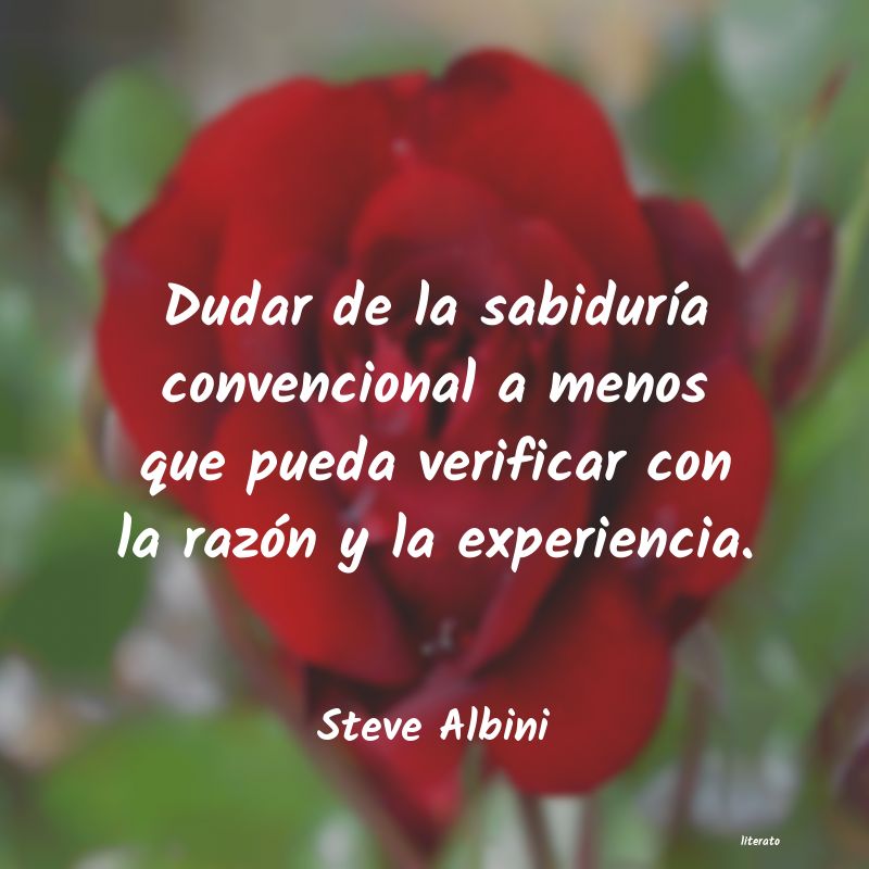 Frases de Steve Albini