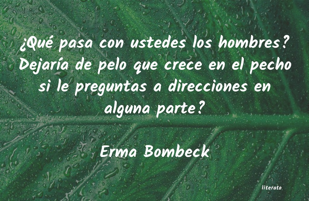 frases de Erma Bombeck