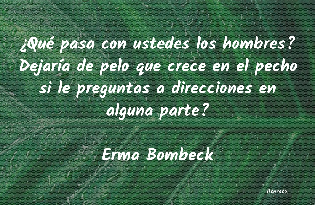 Frases de Erma Bombeck