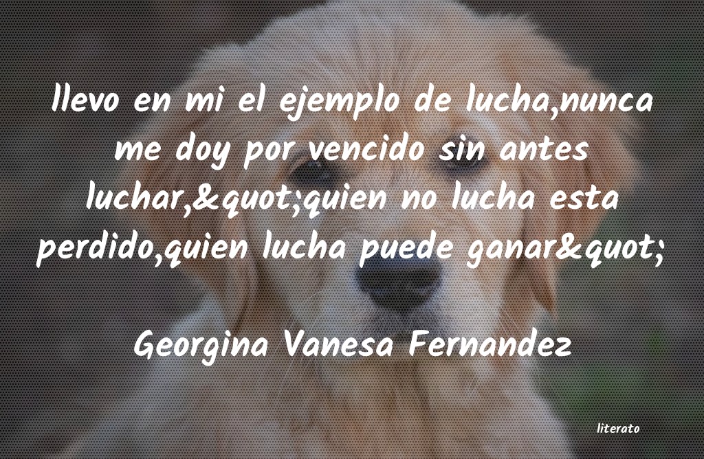 Frases de Georgina Vanesa Fernandez