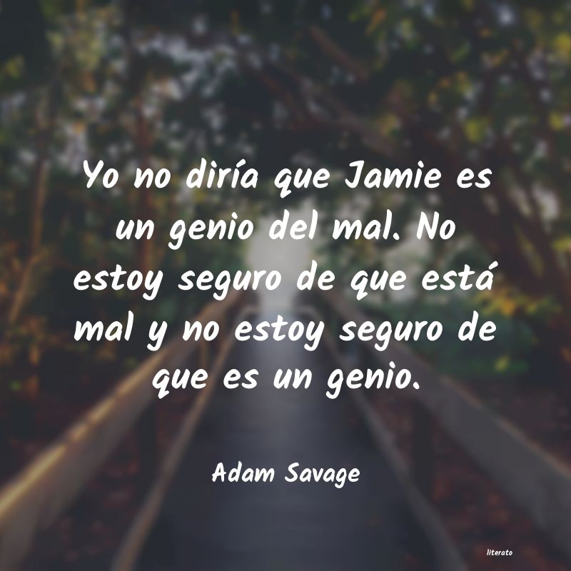 Frases de Adam Savage