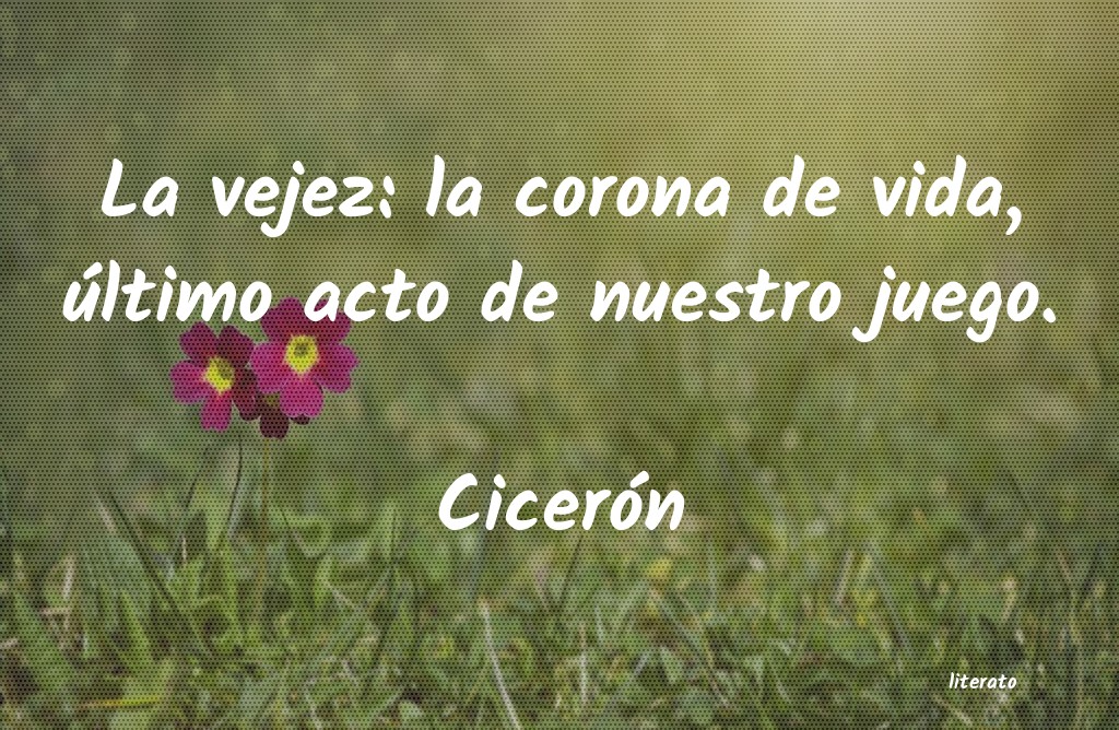 Frases de Cicerón