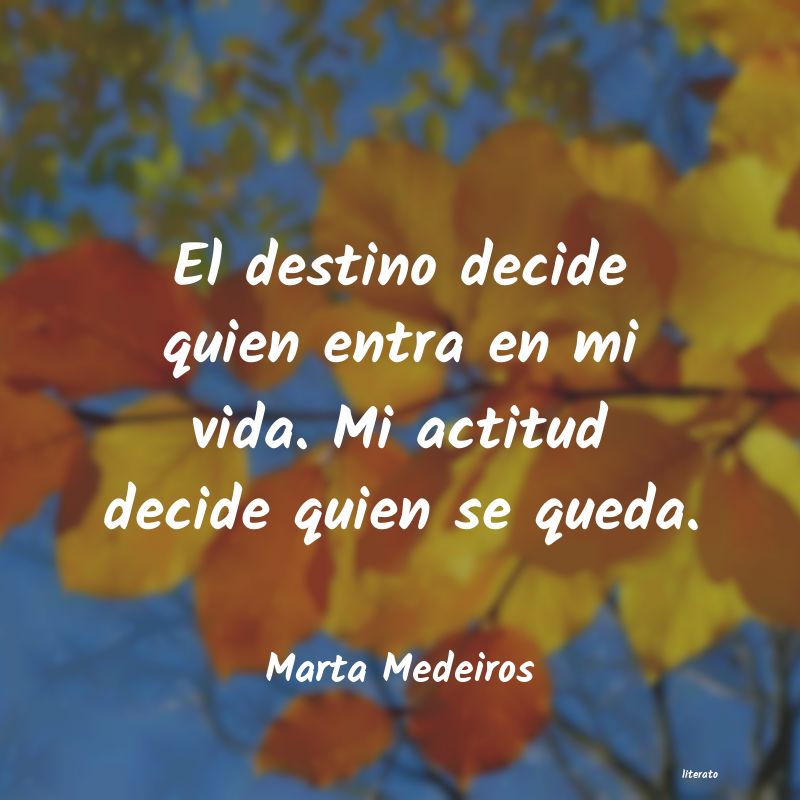 frases de Marta Medeiros