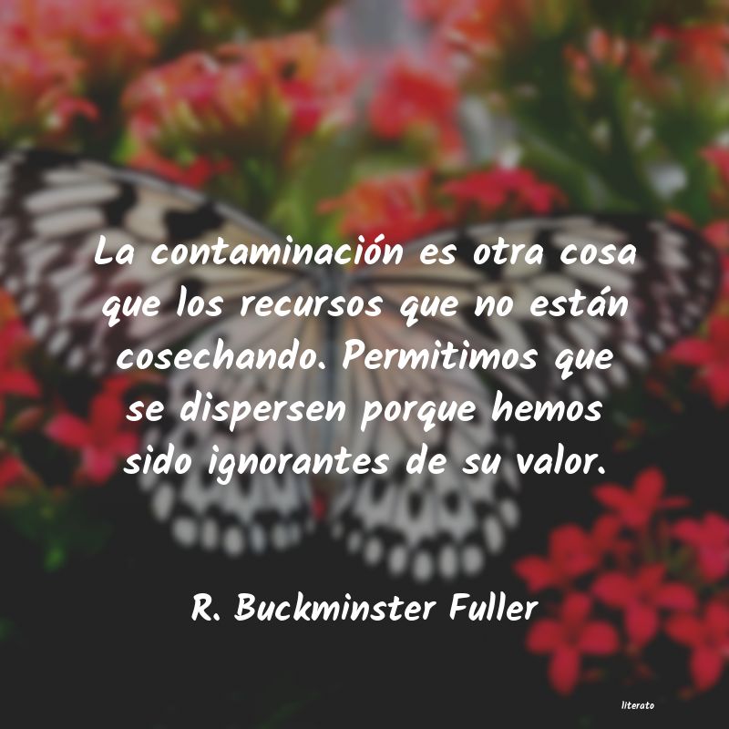 frases de R. Buckminster Fuller