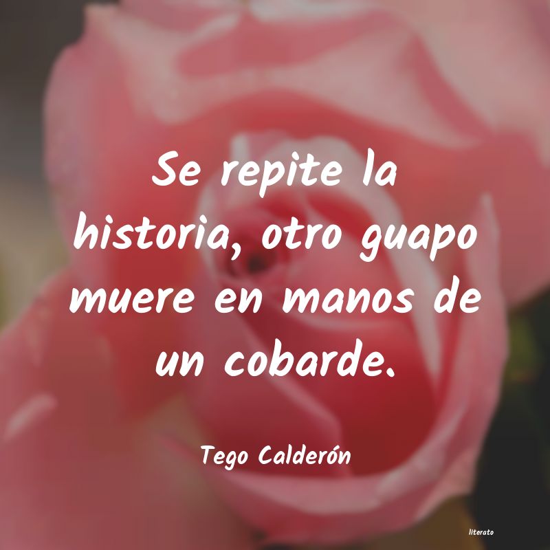 frases de Tego Calderón