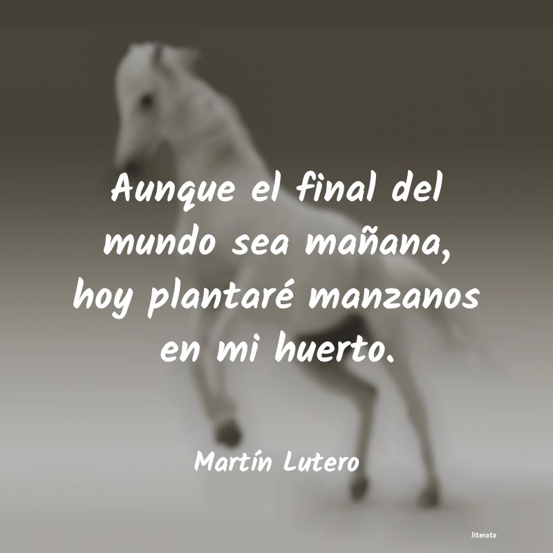 Frases de Martín Lutero