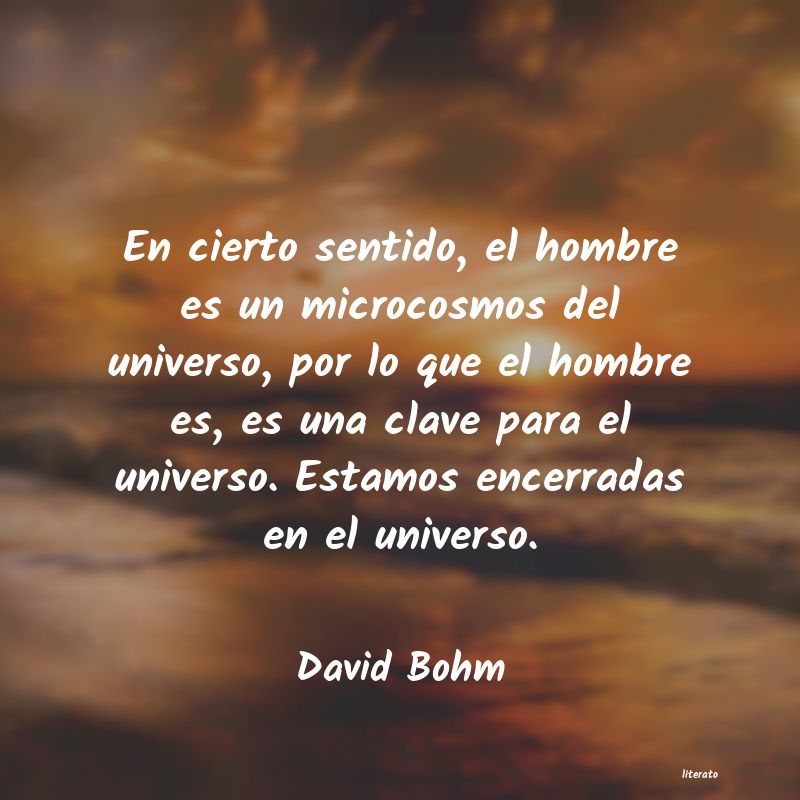 Frases de David Bohm