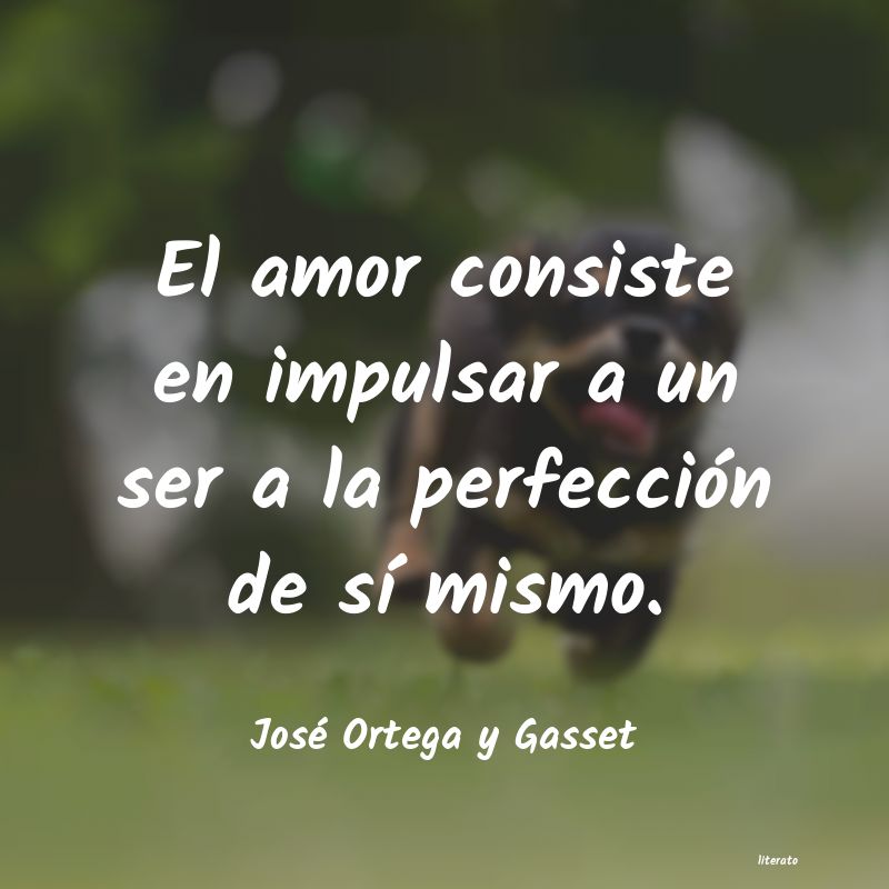 Frases de José Ortega y Gasset