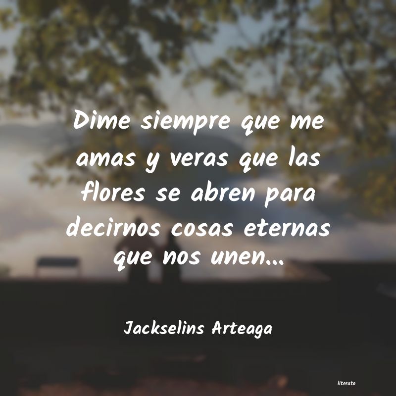 frases de Jackselins Arteaga