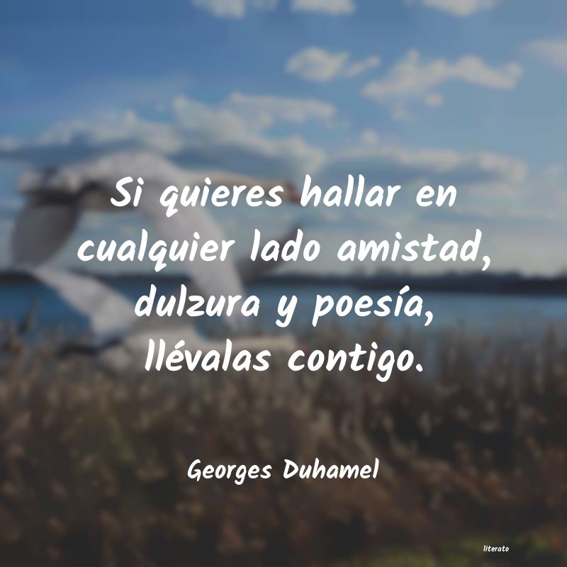 Frases de Georges Duhamel