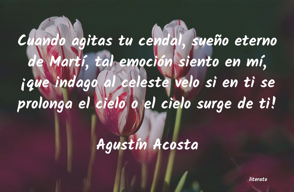 Frases de Agustín Acosta