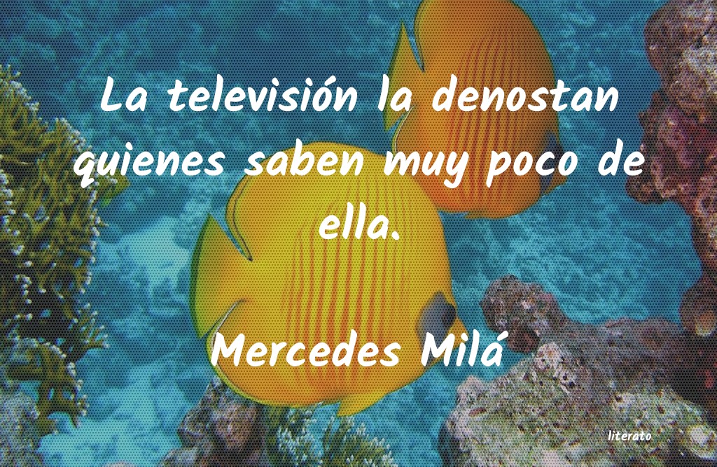frases de Mercedes Milá