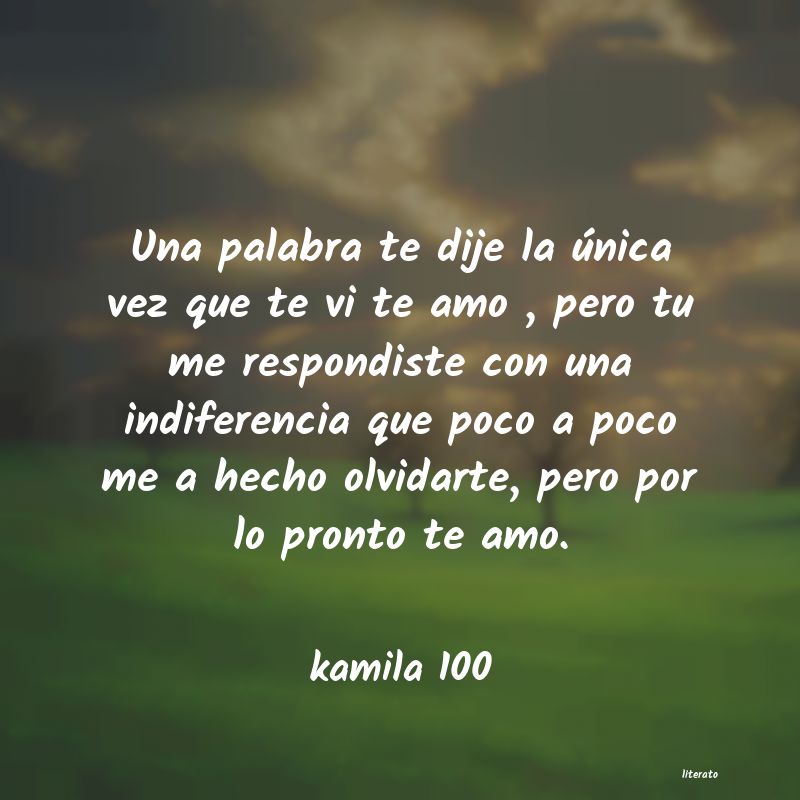 Frases de kamila 100