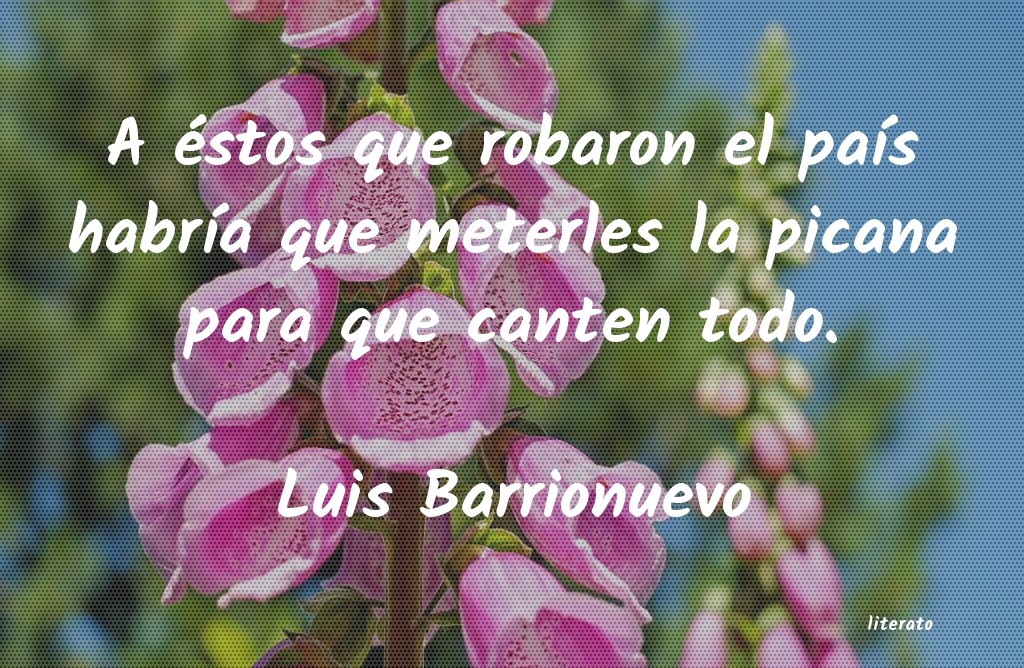Frases de Luis Barrionuevo