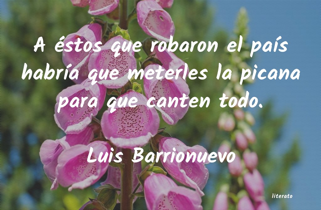 frases de Luis Barrionuevo