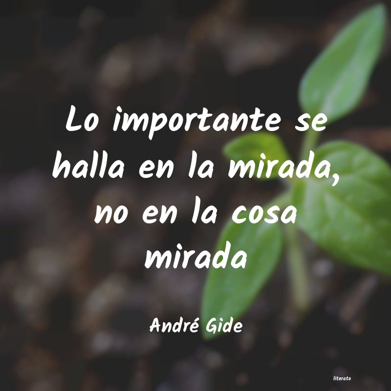 Frases de André Gide