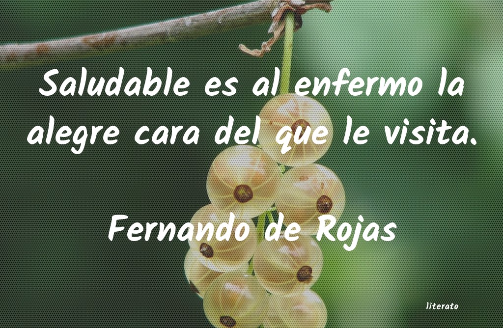 Frases de Fernando de Rojas