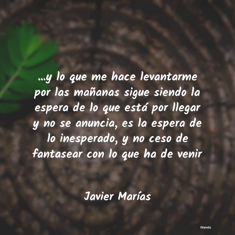 Frases de Javier Marías