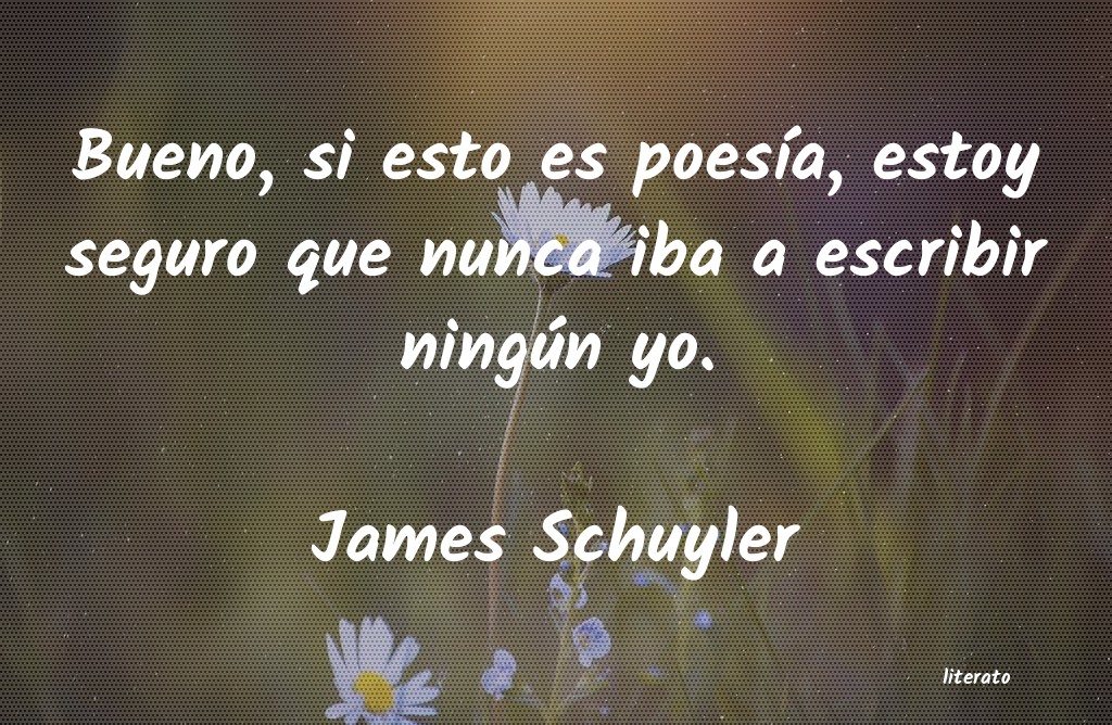 Frases de James Schuyler