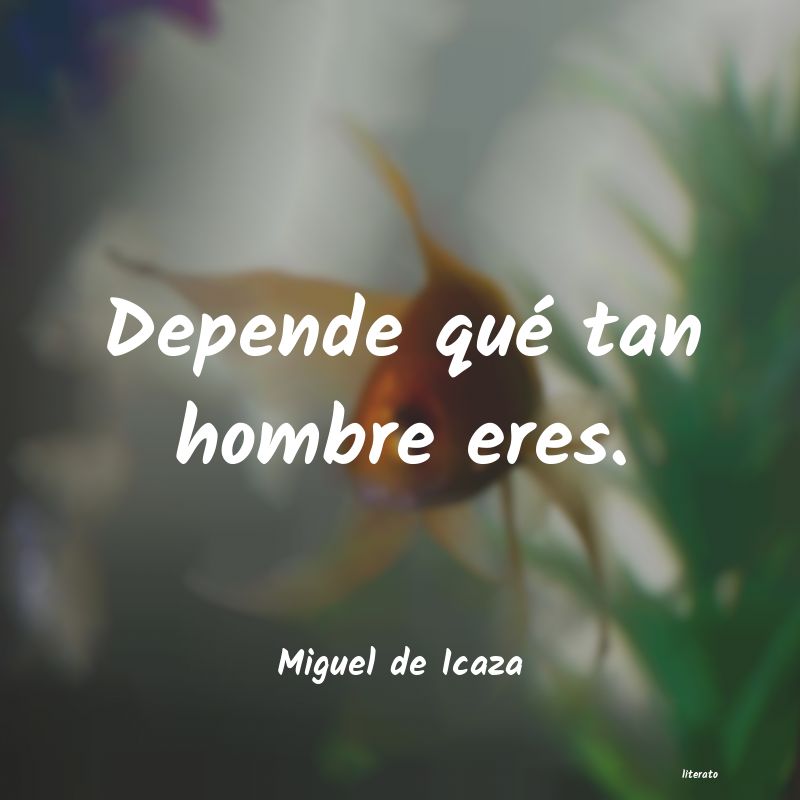 frases de Miguel de Icaza