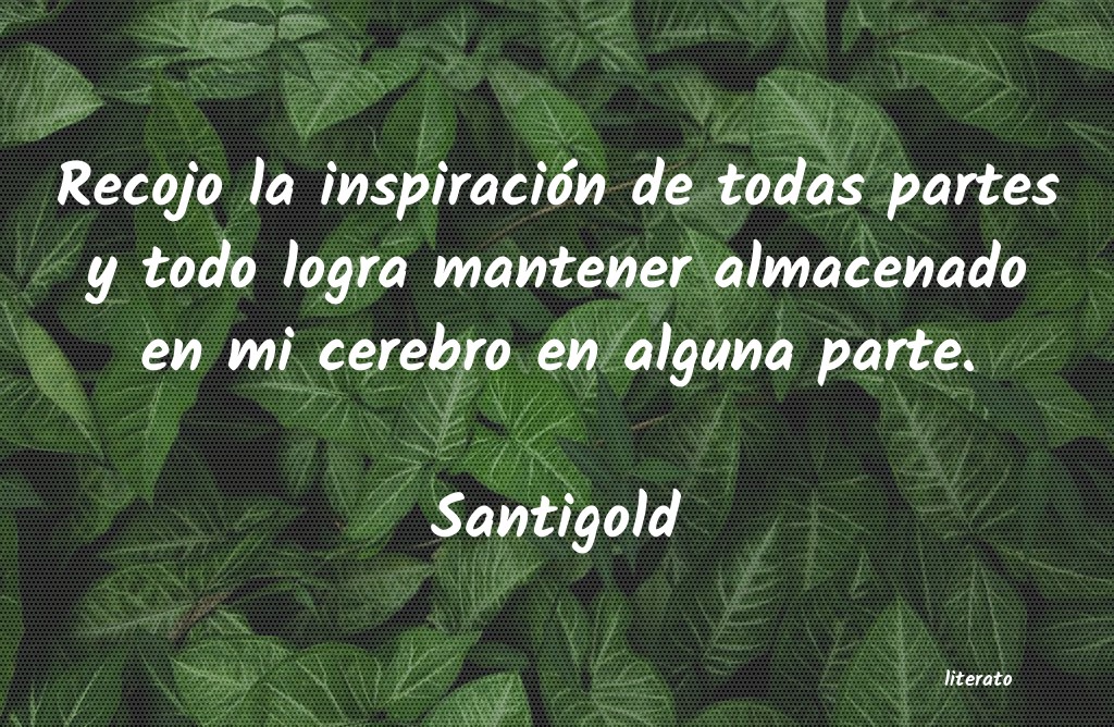 frases de Santigold