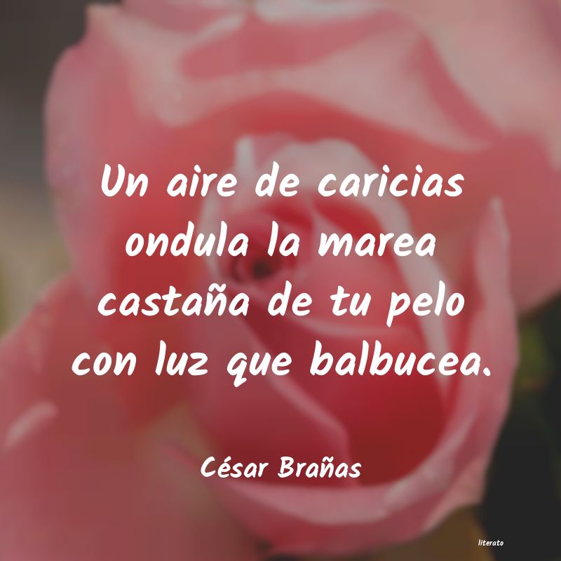 frases de CÃ©sar BraÃ±as