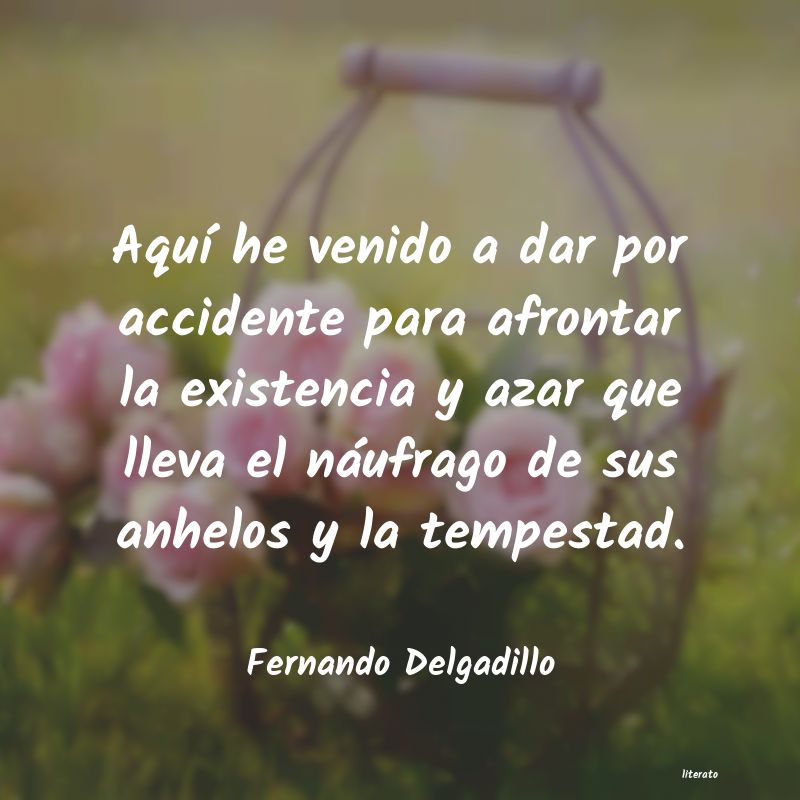 frases de Fernando Delgadillo