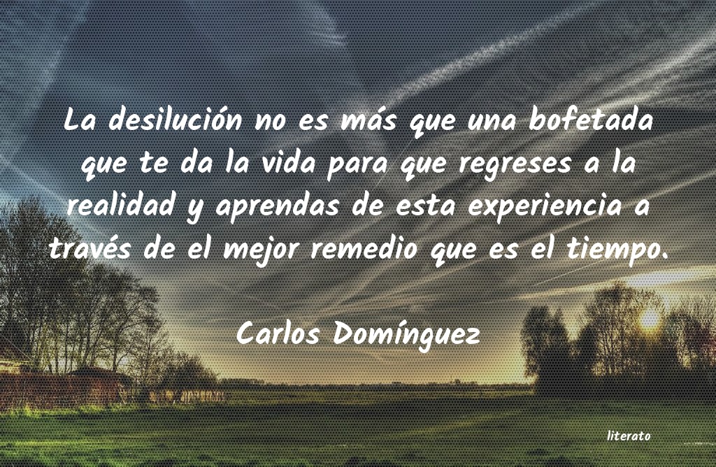 Frases de Carlos Domínguez