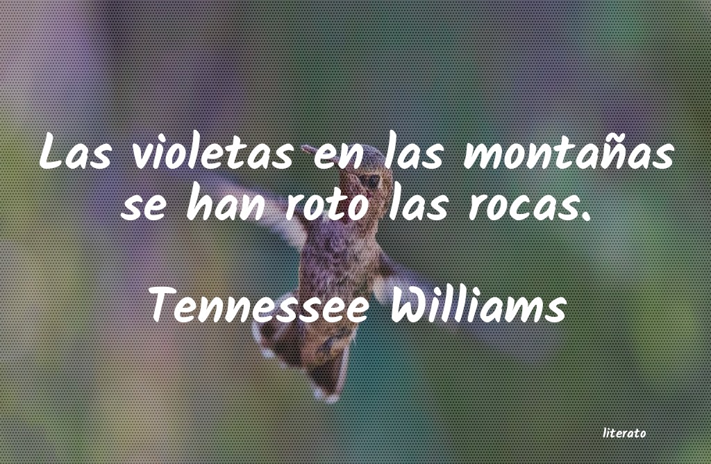 aura o las violetas