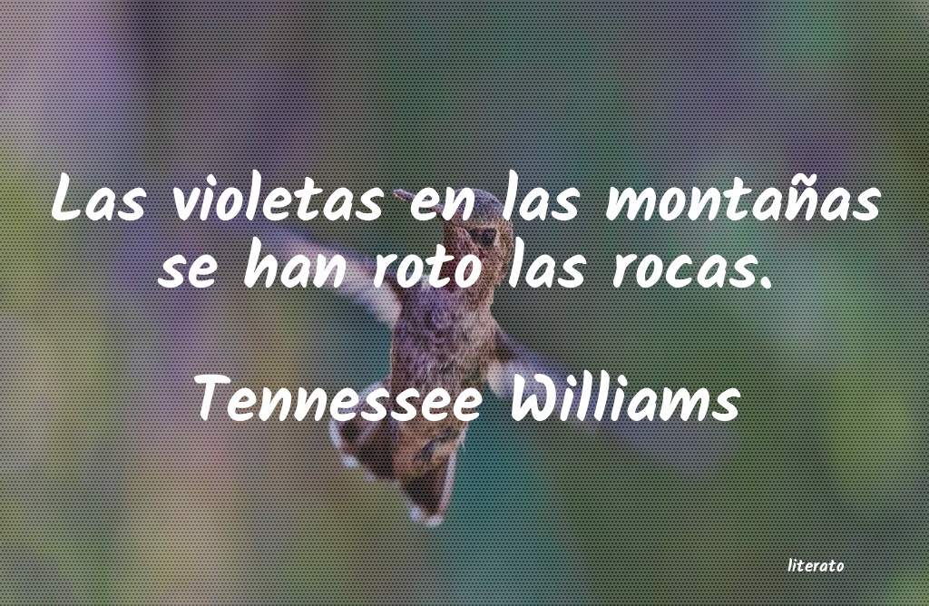 Frases de Tennessee Williams