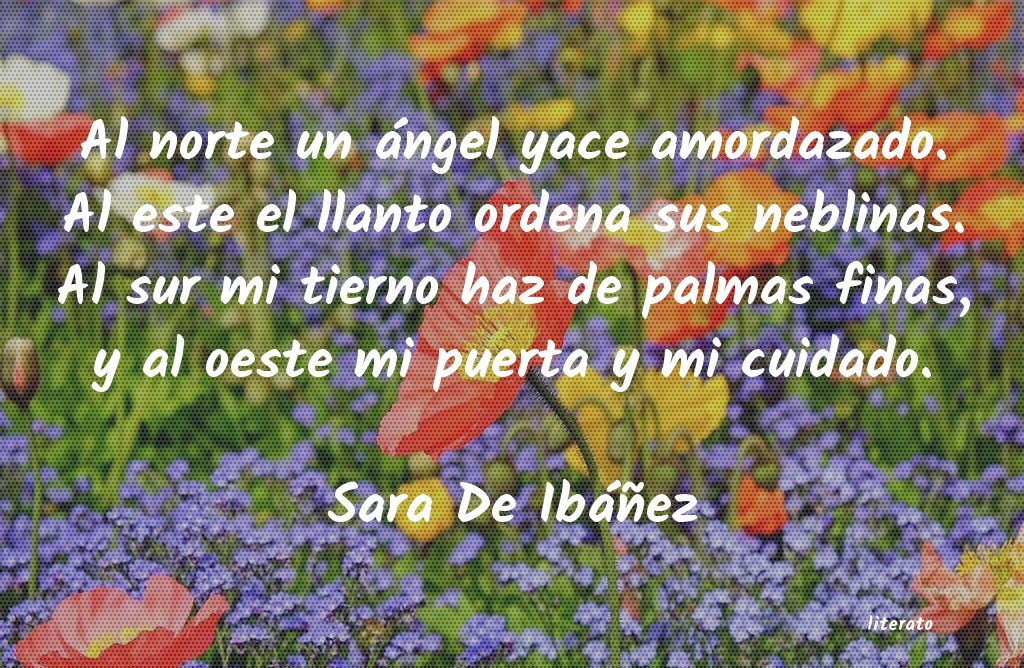 Frases de Sara De Ibáñez