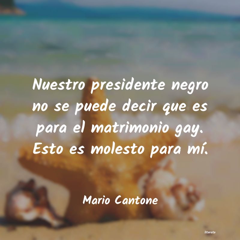 Frases de Mario Cantone