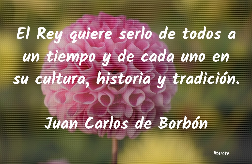 Frases de Juan Carlos de Borbón