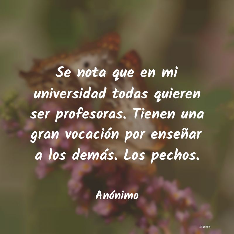 frases