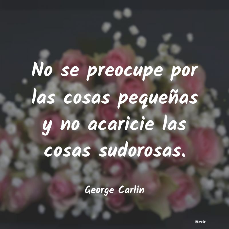 Frases de George Carlin