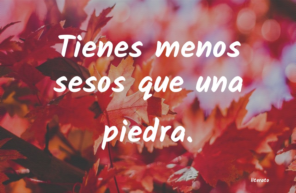 frases