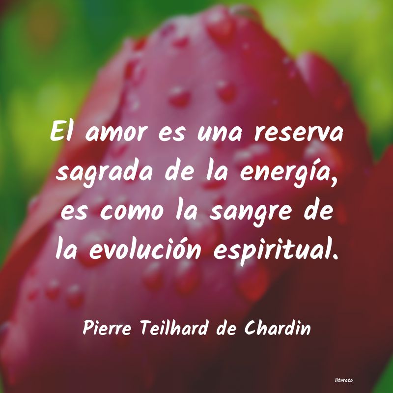 frases de Pierre Teilhard de Chardin