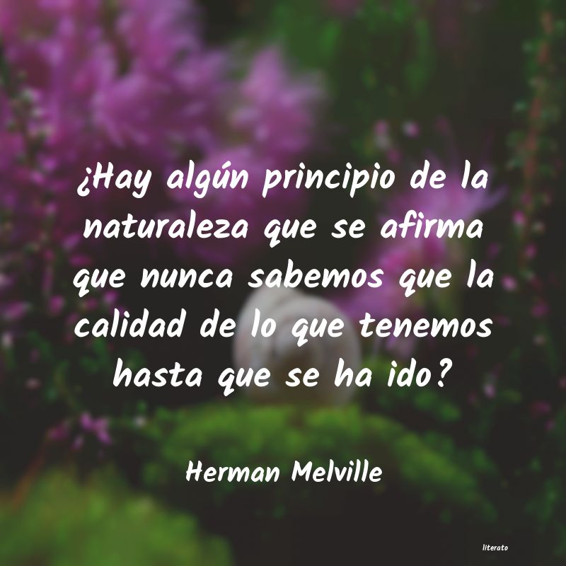 Frases de Herman Melville