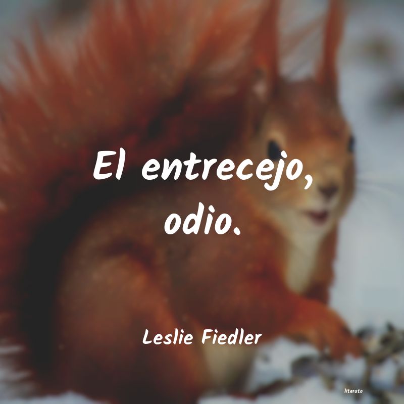 frases de Leslie Fiedler