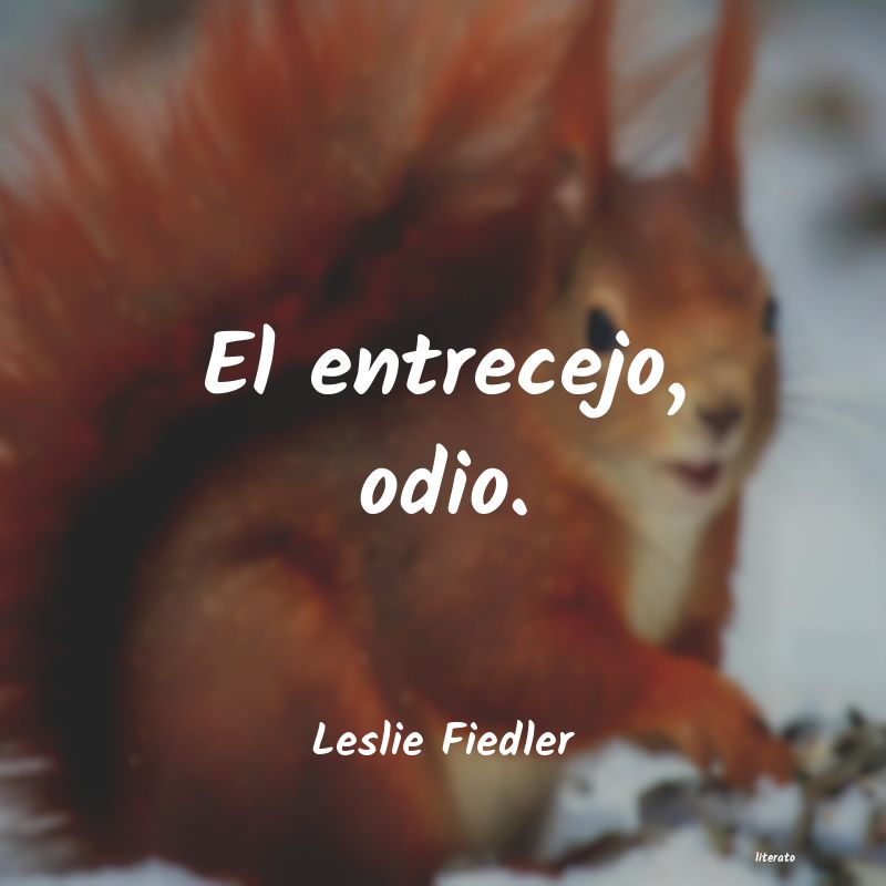 Frases de Leslie Fiedler