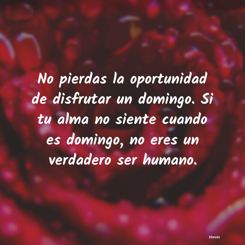 frases