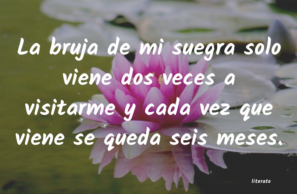 frases