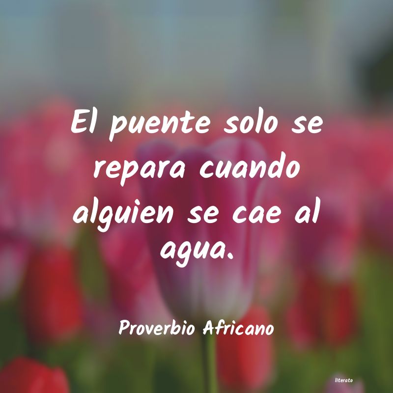 frases de Proverbio Africano