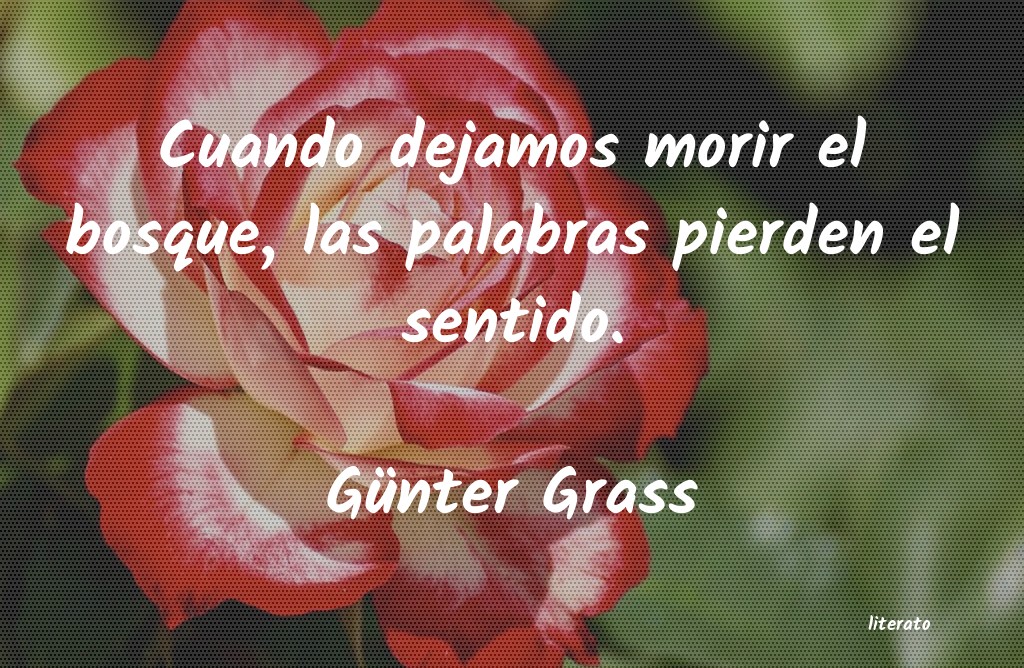 Frases de Günter Grass