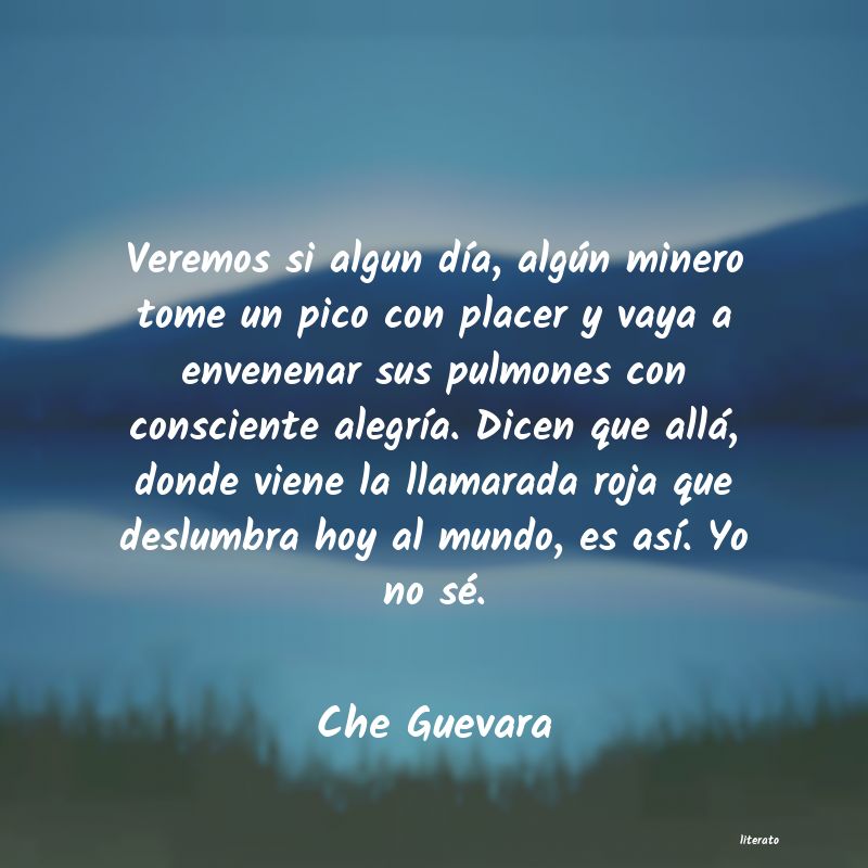 Frases de Che Guevara