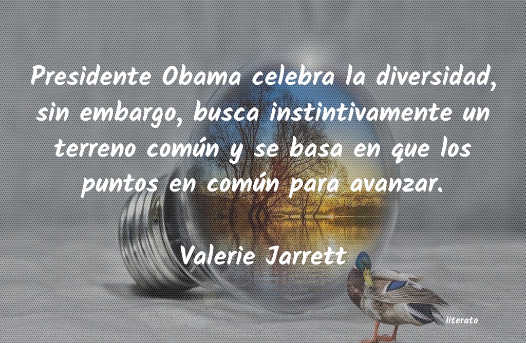 Frases de Valerie Jarrett