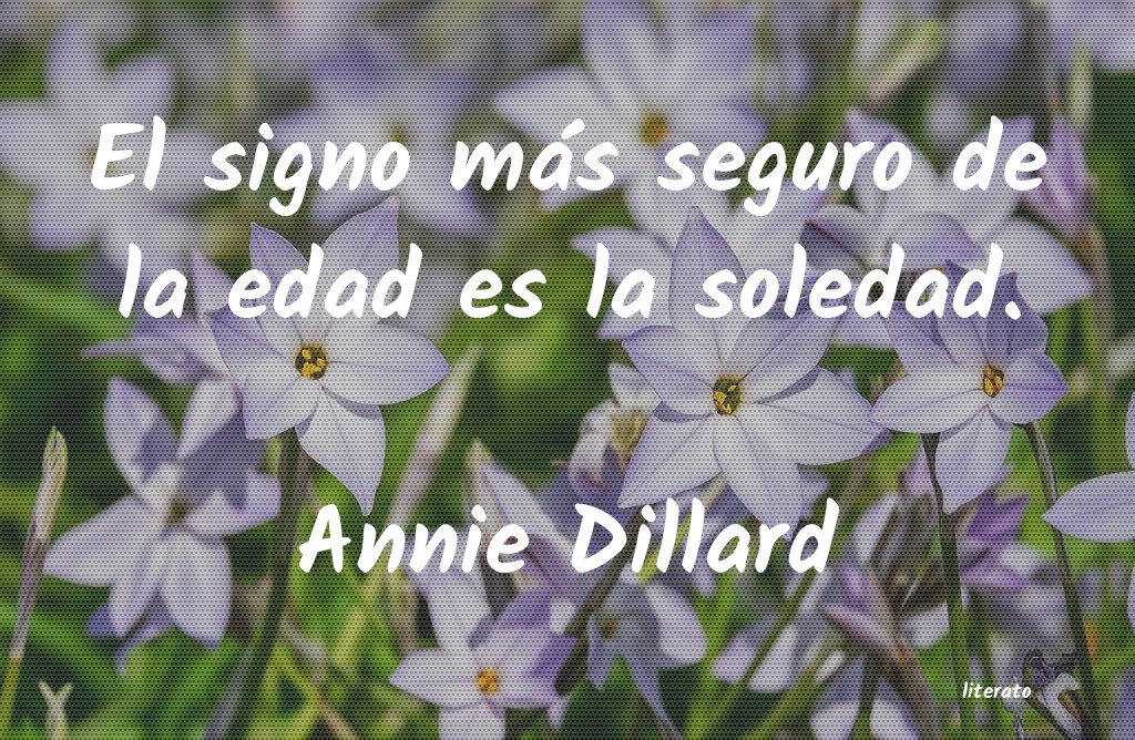frases de Annie Dillard